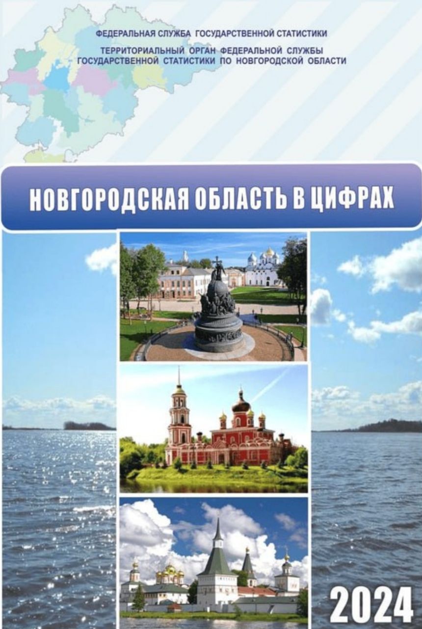 Новгородская область в цифрах (2024): краткий статистический сборник