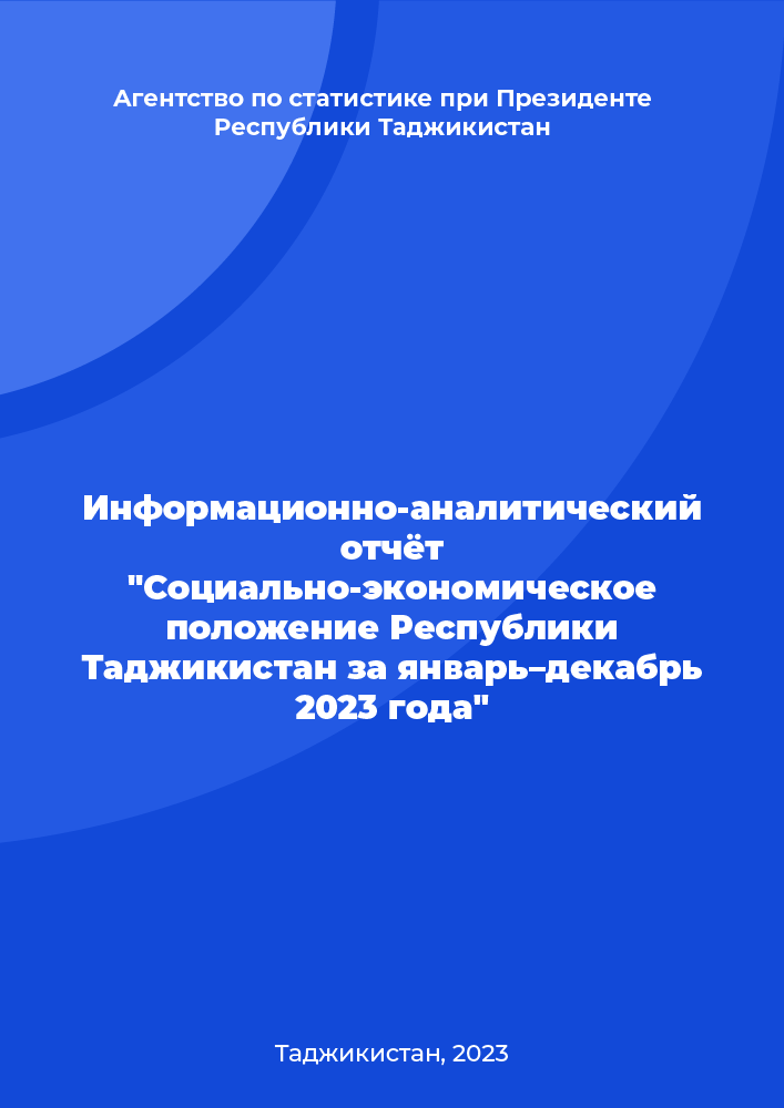 "Информационно-аналитический отчёт ""Социально-экономическое положение Республики Таджикистан за январь–декабрь 2023 года"" "