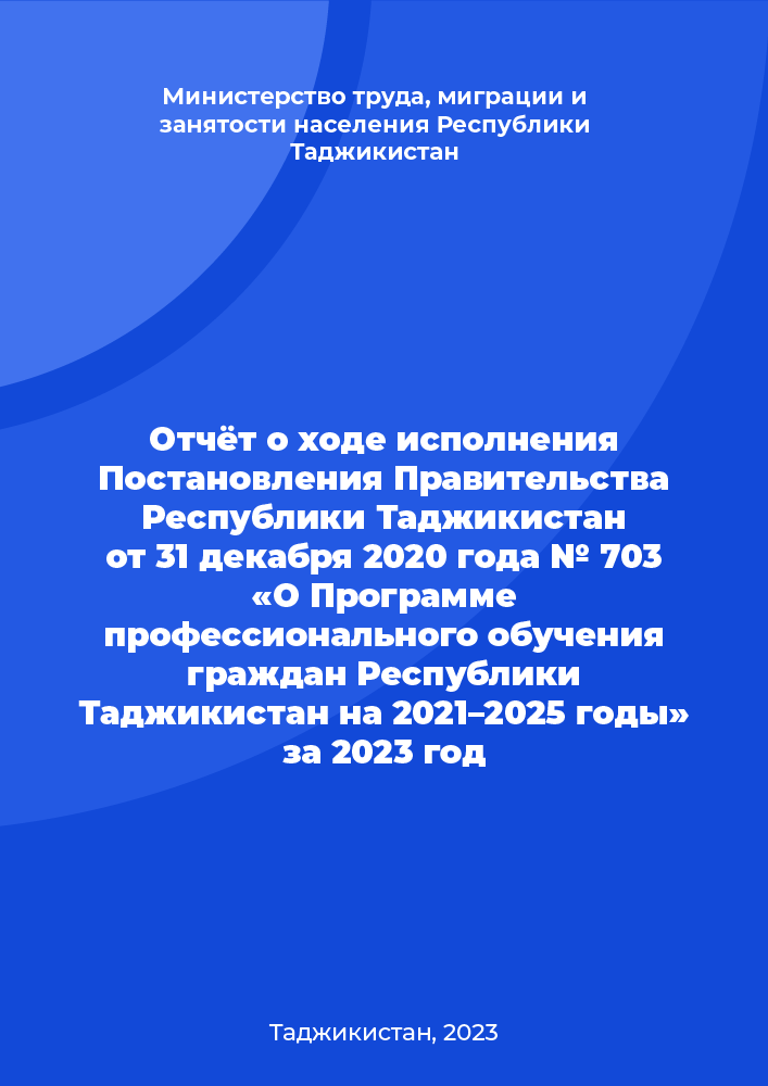 Report on the Implementation of the Resolution of the Government of the Republic of Tajikistan No. 703 dated 31 December 2020 “On the Vocational Training Programme for Citizens of the Republic of Tajikistan for 2021–2025” for the Year 2023